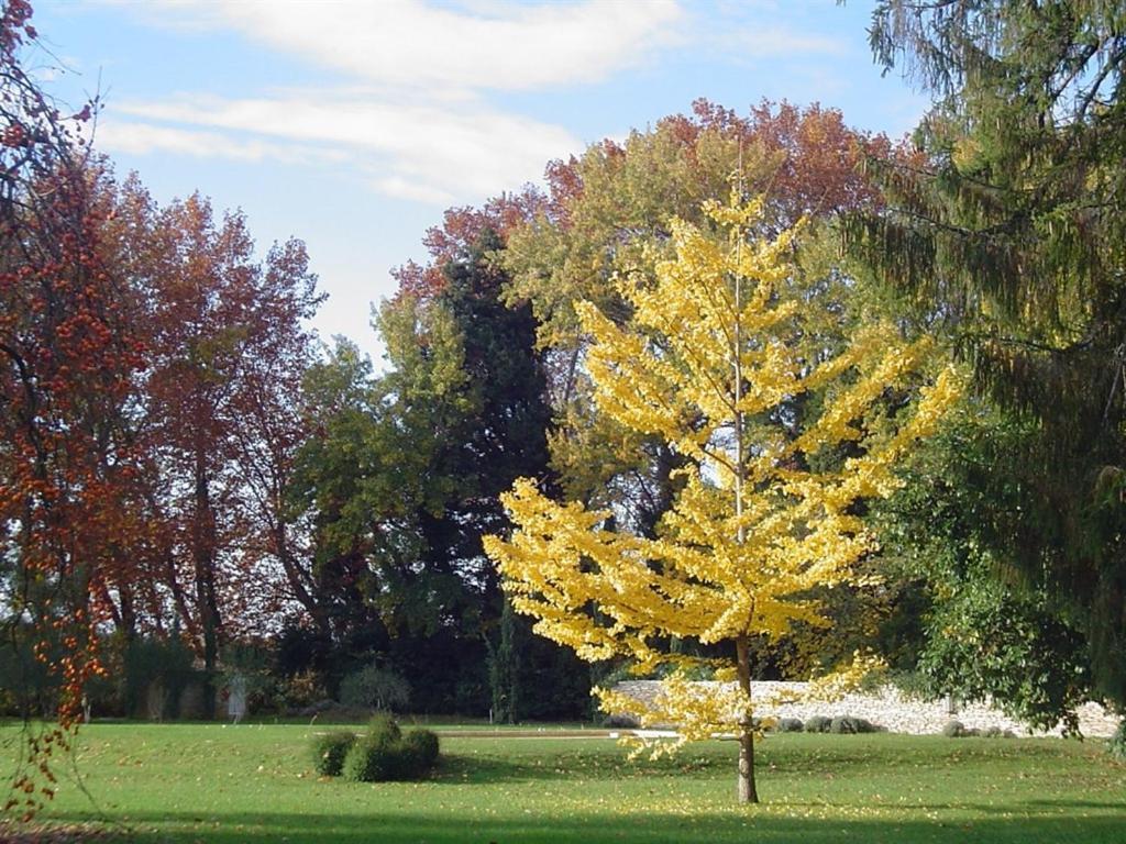 Chambres D'Hotes Chateau Beaupre Saint-Laurent-des-Arbres Luaran gambar